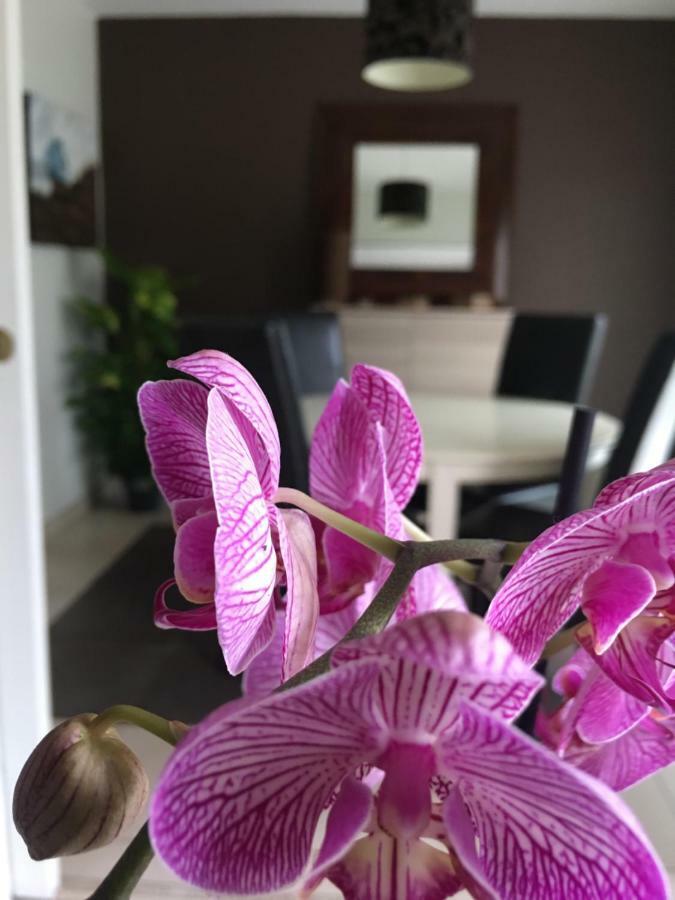 Nano House Διαμέρισμα Bègles Εξωτερικό φωτογραφία